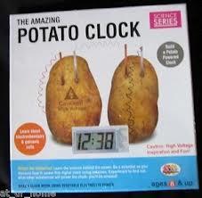 Science Series Potato Clock for School Students Science Project